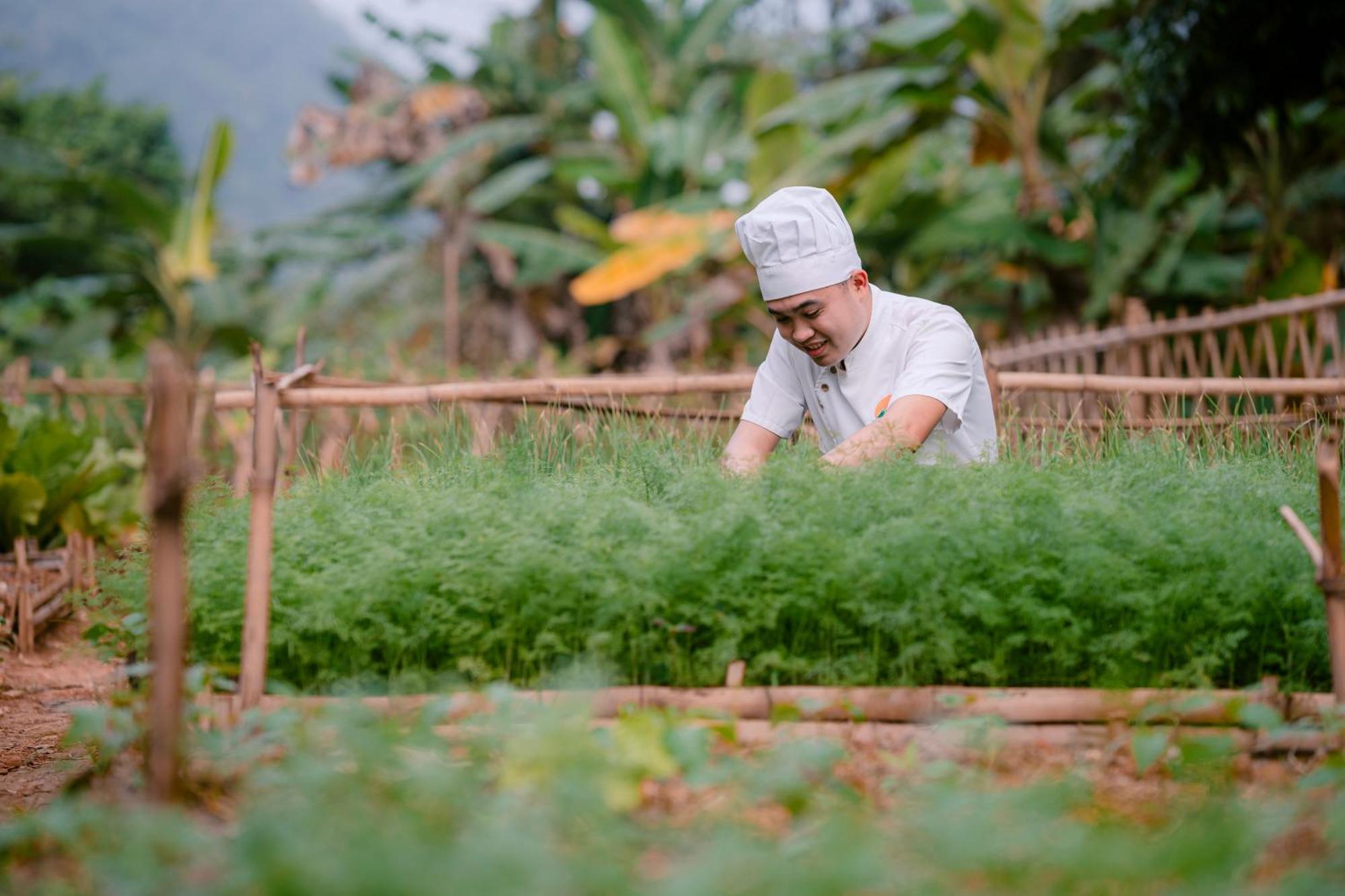 Mai Chau Mountain View Resort Dış mekan fotoğraf